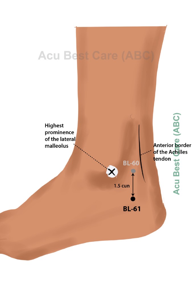 Acubestcare Meridian UB-61 or BL-61